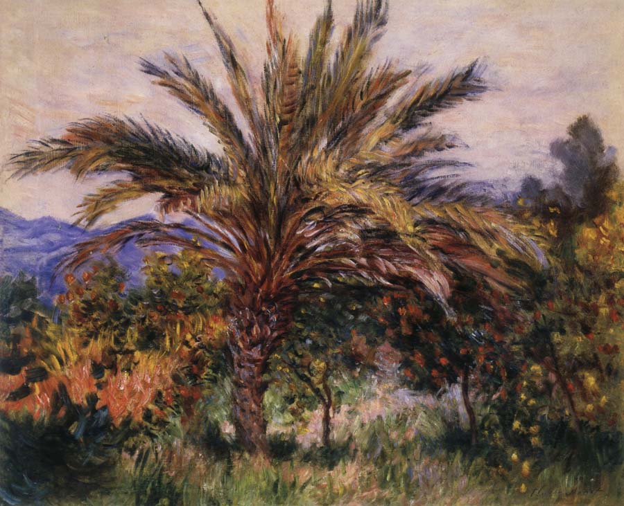 A Palm Tree at Bordighera